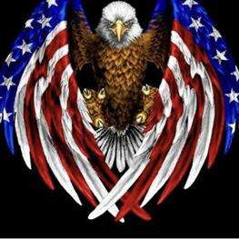 Patriot Underground Video - Check out the latest videos from Bitchute, Rumble and other platforms from all of your favorite MAGA podcasts.