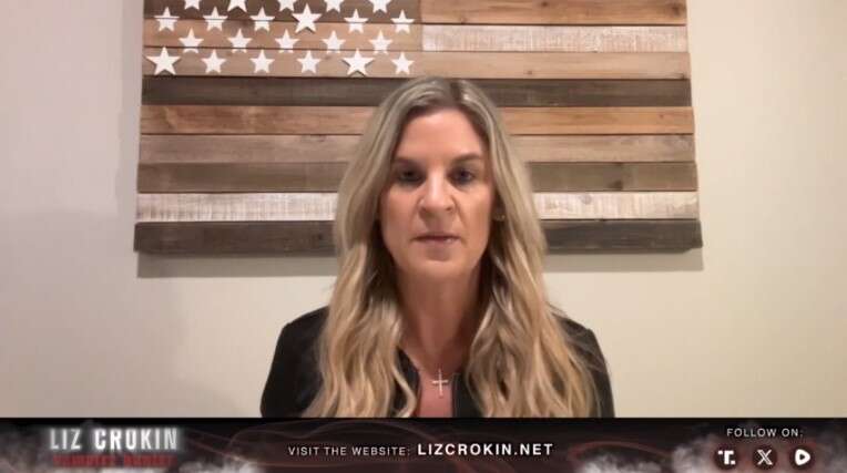 Liz Crokin | VAMPIRE HUNTER | Episode 9: Pizzagate. Crokin discusses the important Pizzagate story that the MSM are helping to cover up.